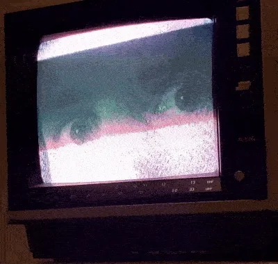 eyes